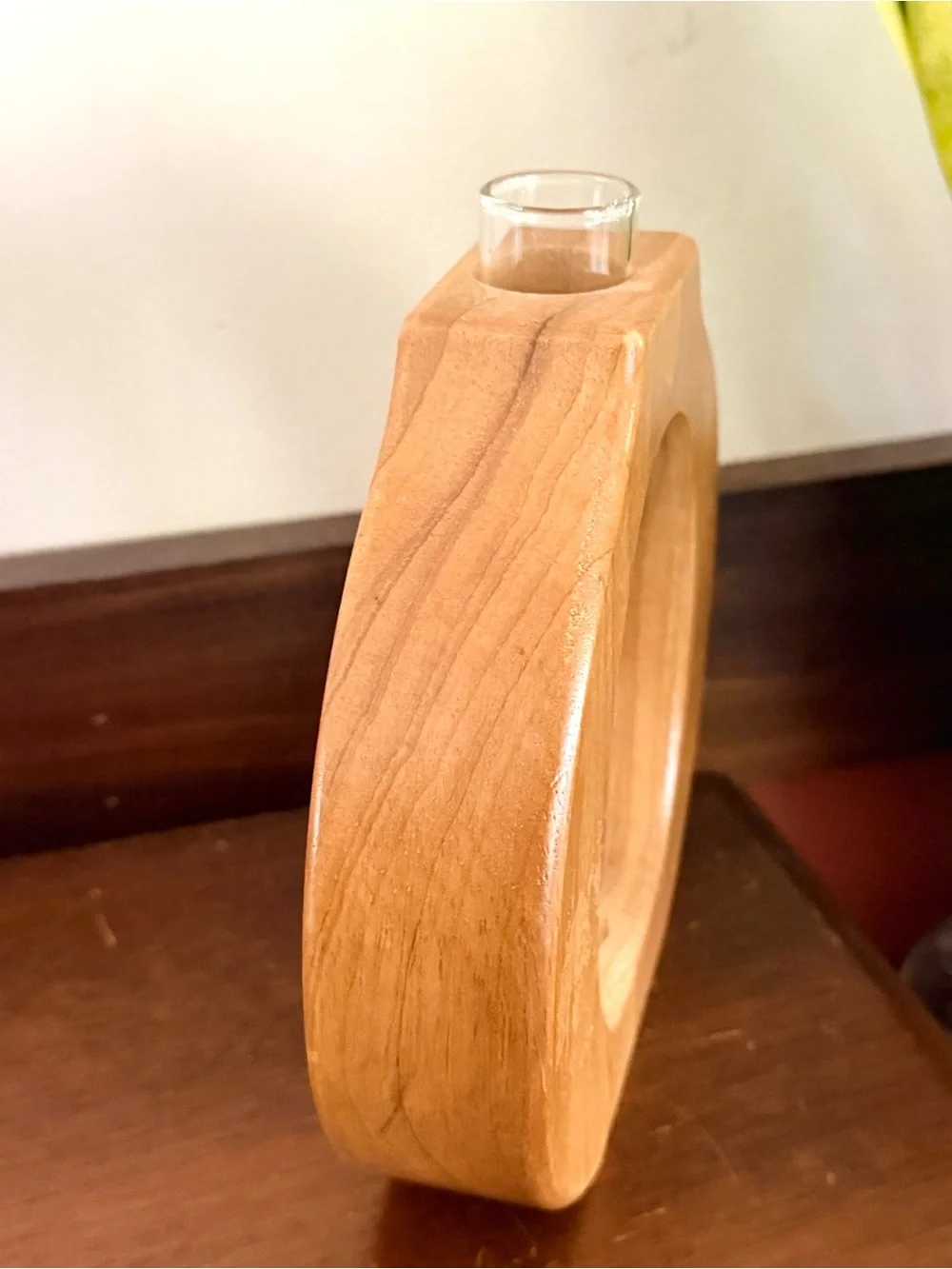 Test Tube Propagation Wood Carved Circle Vase Wall Hanging Shelf Sitting Boho